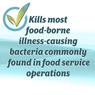 1 GALLON EcoChoice Hand Sanitizer Lemon Zest Scent - 4 pack